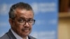 Tedros ayoki motema mawa nsima na commission indépendante kondima ete basali ba OMS bazwaki basi na makasi na RDC
