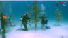 Reef thumbnail