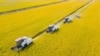 FILE — This aerial photo taken on Oct. 24, 2023, show combines harvesting rice in Nantong, China's eastern Jiangsu province.