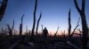 Russia's Invasion of Ukraine: Fighting Intensifies in 2023 War of Attrition 