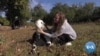  In Khmelnytski Region of Ukraine, This Woman Manages a Dairy Farm Alone 