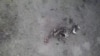 16x9 Image