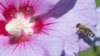 16x9 Image