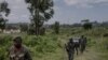 DRC: Waasi watangaza sitisho la mapigano "kwa sababu za kibinadamu"