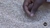 Kenyan Entrepreneur Makes Snacks from Indigenous Grains