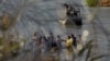 Granična patrola posmatra iz čamca migrante dok prelaze reku Rio Grande, iz Meksika u Sjedinjene Države, u Igl Pasu, Teksas, 22. septembra 2023.