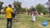 From Exile, Afghan Journalist Finds Work in Diaspora Media