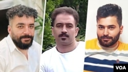 مجید کاظمی، صالح میرهاشمی، و سعید یعقوبی