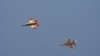 ເຮື​ບິນ​ລົບກອງ​ທັບ​ອາ​ກາດ F-16 ທີ່​ໃຊ້​ປັນ​ຍາ​ປະ​ດິດ​ບັນ​ຊາ, ຊ້າຍ, ບິນ​ຢູ່​ທາງ​ຂ້າງ​ເຮືອ​ບິນລົບ F-16 ທີ່​ສົມ​ມຸດ​ວ່າ​ເປັນ​ສັດ​ຕູ ພະ​ຍາ​ຍາມ​ທີ່​ຈະ​ບັງ​ຄັບ​ຄູ່​ຕໍ່​ສູ້​ຂອງ​ມັນ​ໄປ​ຈຸດ​ທີ່​ມີ​ຄວາມ​ສ່ຽງ, ຢູ່​ເທິງ​ຖານ​ທັບ​ອາ​ກາດ ເອັດ​ເຫວີດ​ສ໌, ລັດ​ຄາ​ລິ​ຟໍ​ເນຍ, 2 ພຶດ​ສະ​ພາ 2024.