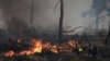 A firefighter and volunteers extinguish a wildfire burning in Stamata, near Athens, Greece, June 30, 2024.