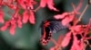 16x9 Image