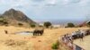 FILE - Elephants are seen as tourists visit Tsavo West National Park, amid the impact of the coronavirus disease (COVID-19) pandemic, in Tsavo region, Kenya, Sept. 21, 2021. 