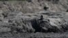 Southern Africa worst hit by climate change