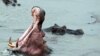 FILE - Hippopotamuses wallow in the Dungu River in the Democratic Republic of Congo, Feb. 2, 2016. A charging hippo capsized a canoe in Malawi on May 15, 2023, leaving one child dead and more than 20 people missing.