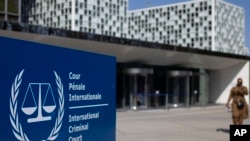 На думку експертки, окрім Шойгу і Герасимова можуть бути й інші особи, справи яких суд розглядає за тими самими звинуваченнями. Фото: AP
