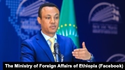  የውጭ ጉዳይ ሚኒስቴር ቃል አቀባይ አምባሳደር ነብዩ ተድላ