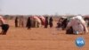 Pressure Grows on Kenyan President to Declare Drought a National Disaster 