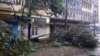 Trees are strewn across a street in Quelimane, Mozambique, March 11, 2023.