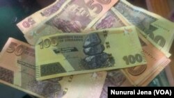 Mari yanga ichishanda munyika kusati kwaparurwa ZiG.