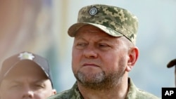 Опитування в Україні показували, що генерал Валерій Залужний користувався високим рівнем підтримки в суспільстві, але він сам досі не заявляв про наміри йти в політику.