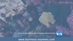 သီးနှံဈေး ကျဆင်းမှုတွေကြောင့် တောင်သူတွေအခက်ကြုံ
