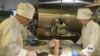 Ukranian Refugees Find Work and Community in California Bakery 