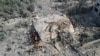 Orang-orang Palestina mencari para korban yang masih hidup setelah pengeboman oleh Israel di Deir Al-Balah, Jalur Gaza, 22 Oktober 2023. (Foto: Hatem Moussa/AP Photo)