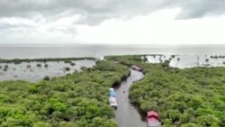 သမ္မတဘိုင်ဒန်ရဲ့ သဘာဝပတ်ဝန်းကျင်ထိမ်းသိမ်းရေးလုပ်ငန်းများ
(နှစ်ကုန်အထူးအစီအစဉ်)
