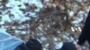 16x9 Image