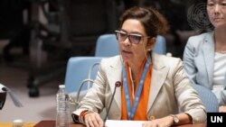 엘리자베스 살몬 유엔 북한인권특별보고관이 지난해 8월 안보리 북한 인권 회의에서 북한의 인권 상황에 대해 보고하고 있다.