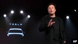 CEO Tesla, Elon Musk 