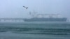 FILE - Seekor burung camar terbang melewati kapal tanker di dekat pabrik gas alam cair di pulau Sakhalin di luar kota Korsakov, Rusia, 16 Februari 2009. Prancis dan sembilan negara lainnya meminta Komisi Eropa untuk mengusulkan kewajiban pelaporan yang lebih ketat pada LNG Rusia.