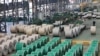 Trump to announce 25% steel, aluminum tariffs in latest trade escalation