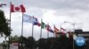 Texas: What International Migration Means for Its Politics 