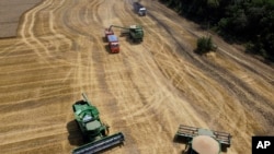 FILE - Farmers harvest with their combines in a wheat field near the village Tbilisskaya, Russia, July 21, 2021. (AP/Vitaly Timkiv, File)