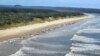Dinosaur-Era Fish on Brink of Extinction, Australian Conservationists Say