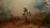 Spain, Germany Battle Wildfires Amid Unusual Heat Wave 