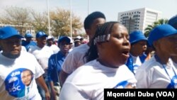 Vanopikis a muBotswana vari kuti Zimbabwe iri kupindira musarudzo dzavo