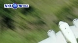 ABŞ-da Qərbi Nil virusu yayılır ~ Las Veqasda rekord yağışlar
