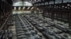 Dozens of German-made Leopard 1 tanks and other armoured vehicles are seen in an hangar in Tournais