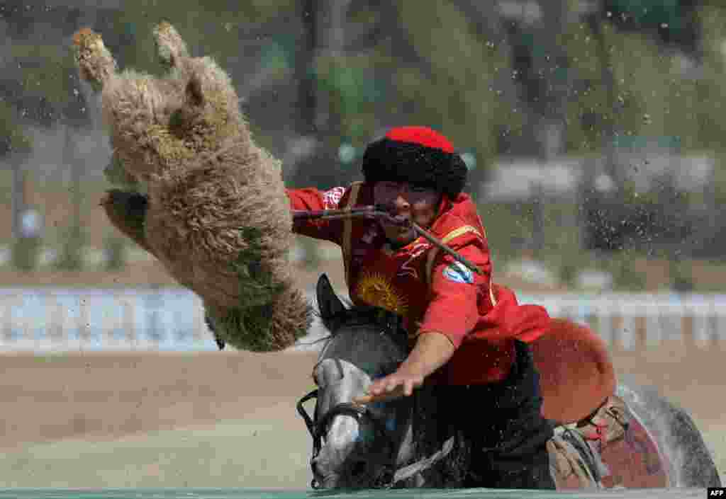 A Kyrgyz rider plays the traditional Central Asian sport Buzkashi, also known as Kok-Boru or Oglak Tartis, during the World Nomad Games 2016 in Cholpon-Ata on the shores of Lake Issyk-Kul, some 270 kms outside the capital Bishkek.