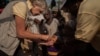 Rotary polio vaccination day in Kaduna, Nigeria (Ruth McDowall)