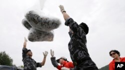 한국 경기도 파주시 통일동산주차장에서 지난 2014년 탈북자단체 자유북한운동연합 회원들이 대북전단 풍선을 띄우고 있다. (자료사진)