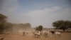 ፋይል -- ግጭት ክልተ ቀቢላታት ፈለማ ብመጋሃጫ ዝጀመረ ምዃኑ'ዩ ዝንገር