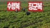 북한 곡물가 춘궁기 지나서도 가파른 상승세..."봄 가뭄·이른 장마 영향"