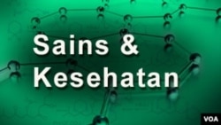 Gelombang Panas dan Kekeringan Melanda Eropa
