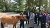 Mongolian Defense Minister Nyamaa Enkhbold, right, presents a horse as a gift to U.S. Defense Secretary Mark Esper at the Defense Ministry in Ulaanbaatar, Mongolia, Aug. 8, 2019. (C. Babb/VOA) 
