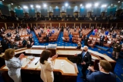 Biden 100 Days Congress