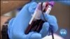 US Student Group Works to End Ban On Blood Donations By Gay Men