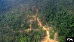 Foto udara hutan di Kalimantan Timur (foto: dok). UU Pelestarian Hutan Tropis Kalimantan atau TFCA Kalimantan, program kemitraan antara pemerintah Amerika,Indonesia, Pelestarian Alam dan Yayasan WWF baru-baru ini mendapat 14 dana hibah baru bernilai 3,3 juta dolar untuk organisasi-organisasi non- pemerintah Indonesia.